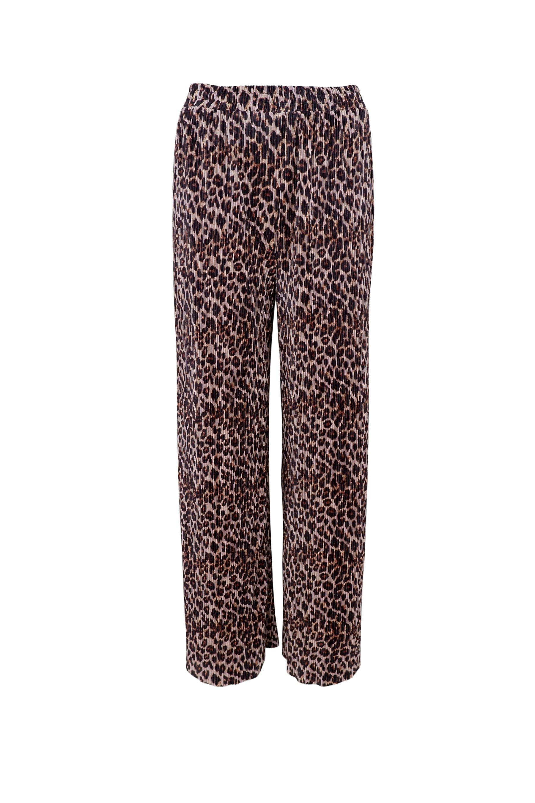 Hayden Pilssé Pant | Leo Pants Black Colour 