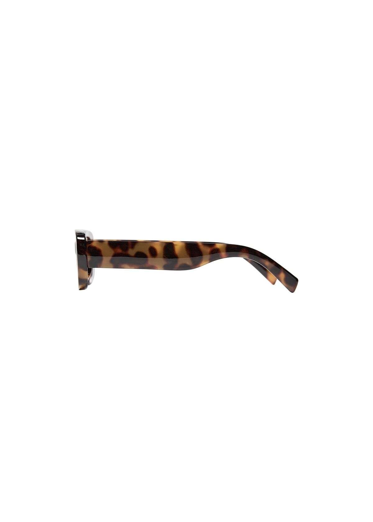 Penina Sunglasses | Katia Sunglasses Soya Concept 